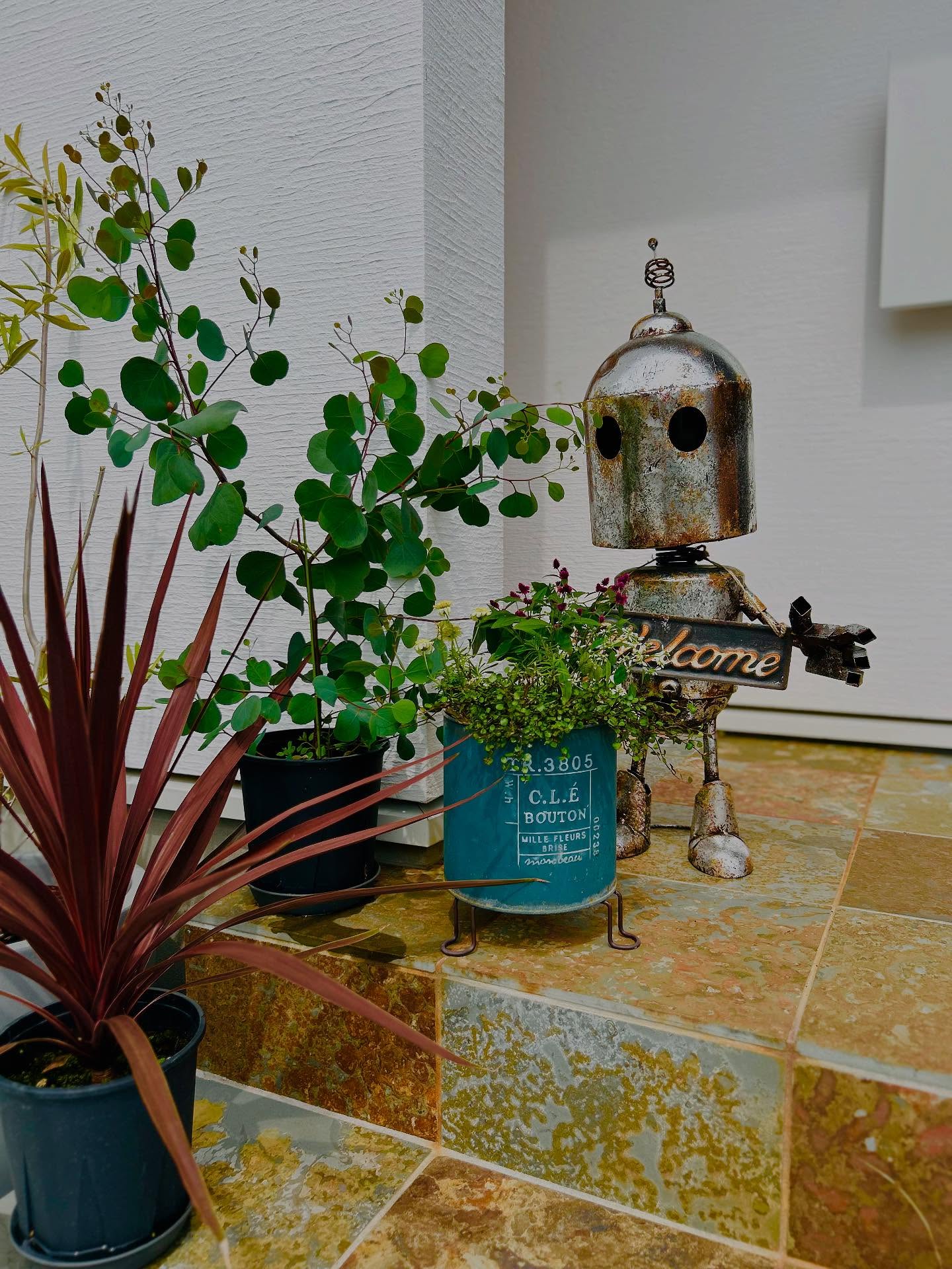 #玄関先ガーデニング 
#玄関 
#玄関のお花 
#玄関の植物入れ替え